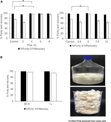 Optimization for the efficient recovery of poly(3-hydroxybutyrate) using the green solvent 1,3-dioxolane